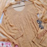 Dia Viscose Resham Jaal Chikankari and Mukesh Work 3pc Set- Beige