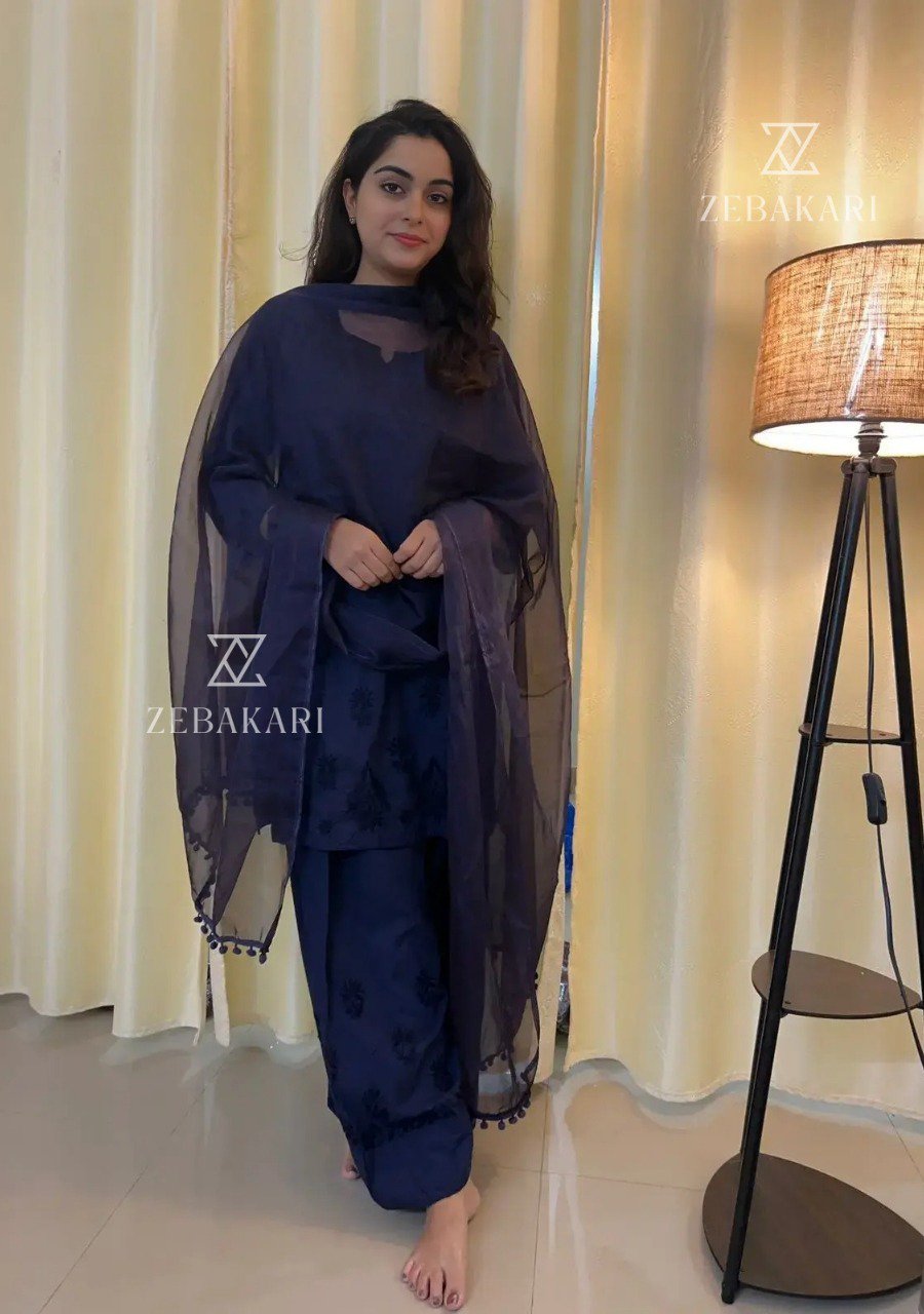 2025/09/1001457512.jpg Mehrunnisa Chikankari Farshi Shalwar Suit- Navy Blue - Image 1