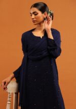Dia Viscose Resham Jaal Chikankari and Mukesh Work 3pc Set- Navy Blue - Image 4