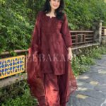 Mehrunnisa Chikankari Farshi Shalwar Suit- Brown