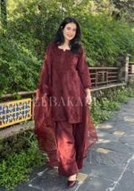 Mehrunnisa Chikankari Farshi Shalwar Suit- Brown