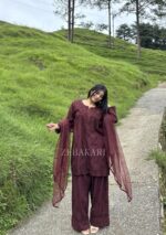 Mehrunnisa Chikankari Farshi Shalwar Suit- Mocha Brown - Image 2