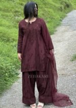Mehrunnisa Chikankari Farshi Shalwar Suit- Mocha Brown - Image 13