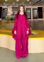 Mehrunnisa Chikankari Farshi Shalwar Suit - Hot Pink
