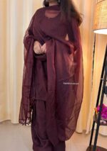 Mehrunnisa Chikankari Farshi Shalwar Suit- Brown - Image 6