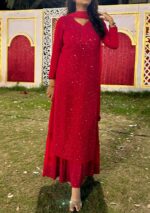 Dia Viscose Resham Jaal Chikankari and Mukesh Work 3pc Set- Rose Red