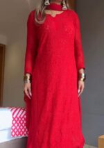 Dia Viscose Resham Jaal Chikankari Work 3pc Set- Red - Image 4