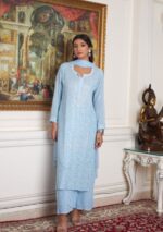 Dia Viscose Resham Jaal Chikankari and Mukesh Work 3pc Set- Sky Blue - Image 5