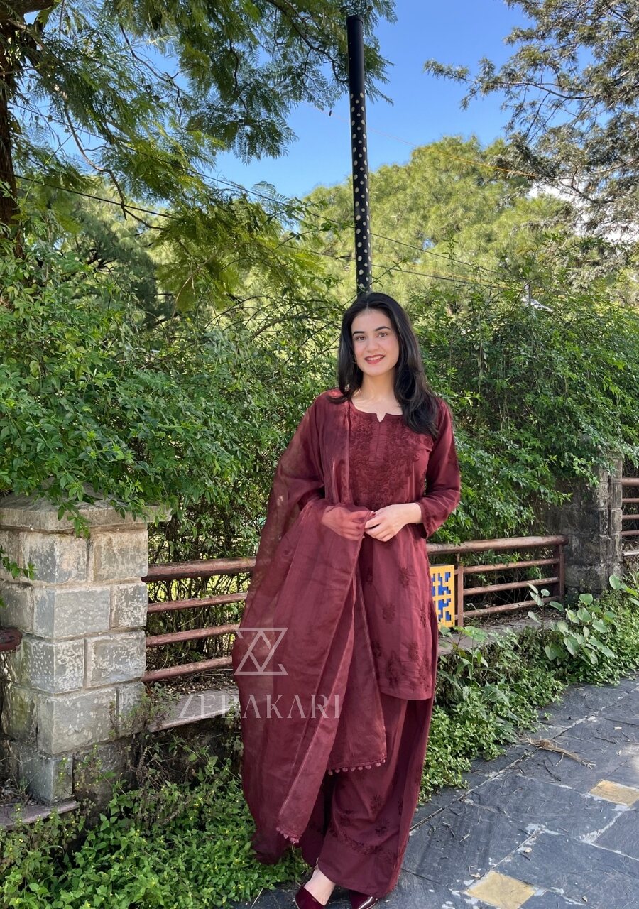 20251010_150747_0007 Mehrunnisa Chikankari Farshi Shalwar Suit- Brown - Image 1