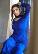 Dia Viscose Resham Jaal Chikankari and Mukesh Work 3pc Set- Blue - Image 3