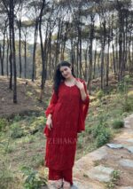 Nazia Viscose 3D Chikankari Long Kurti Set with Dupatta - Maroon