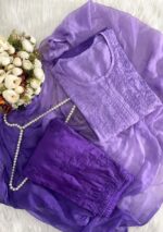 Sahiba Chanderi Chikankari Ombre 3 PC Long Kurta Set - Image 8