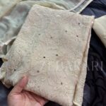 Dia Viscose Resham Jaal Chikankari 3pc Set- Milky Off White