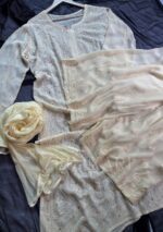Dia Viscose Resham Jaal Chikankari 3pc Set- Milky Off White - Image 3