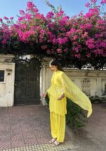 Farshi Shalwar Modal Chikankari 3pc Suit- Yellow - Image 8