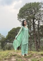 Farshi Shalwar Modal Chikankari 3pc Suit- Sage Green - Image 6