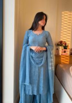 Dia Viscose Resham Jaal Chikankari 3pc Set- Sky Blue - Image 2
