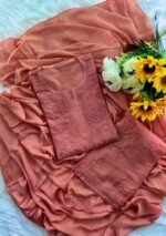 Sahiba Chanderi Chikankari 3PC Long Kurti Set with Dupatta- Pastel Shades - Image 9
